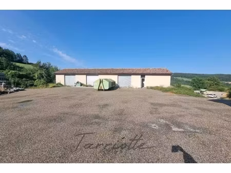 annonce commerce à vendre