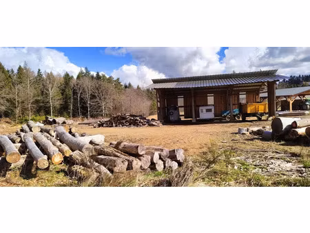 annonce vente terrain terrain de 3m2 à chirac bellevue (19160) - paruvendu.fr ref 99278641