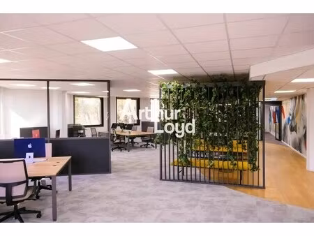vente bureaux 230 m²