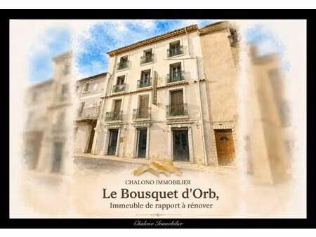 vente commerce le bousquet d orb 34260 426m²