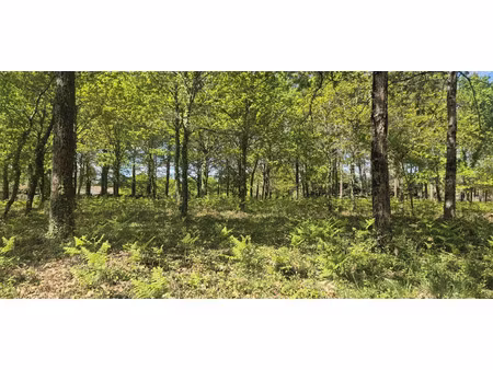 vente terrain à construire 578 m² belin-béliet (33830)