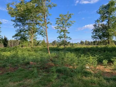vente terrain à construire 750 m² biscarrosse (40600)