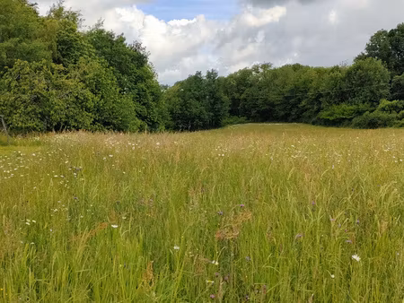 terrains à bâtir à juillac