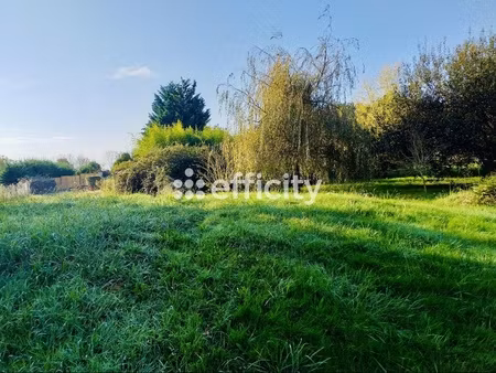 terrain - 1000 m²