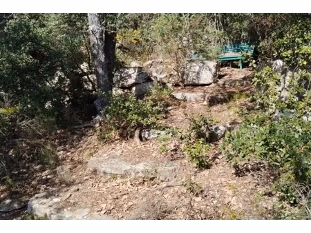 annonce terrain à vendre