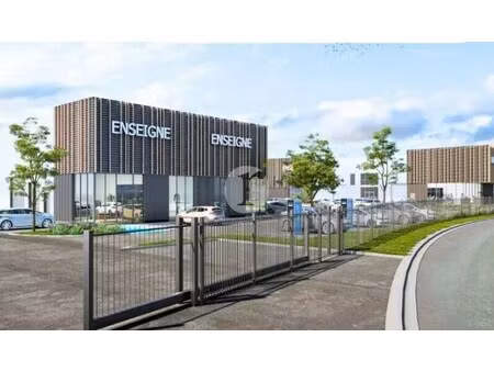 location commerce croix 59170 230m²