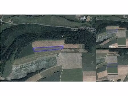 terrain agricole en vente publique de 79780 m² à muno (vbe20608)