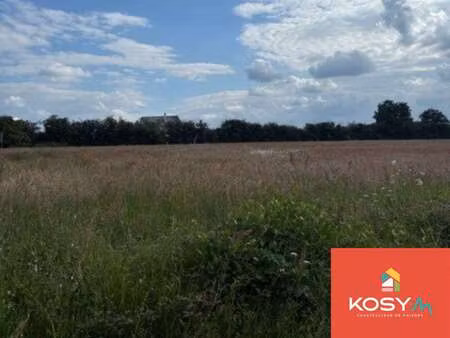 vente terrain au louroux-beconnais (49370) : à vendre / le louroux-beconnais