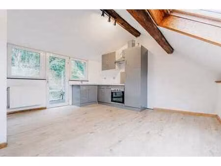 appartement 1ch à louer à dinant (anseremme) avec terrasse