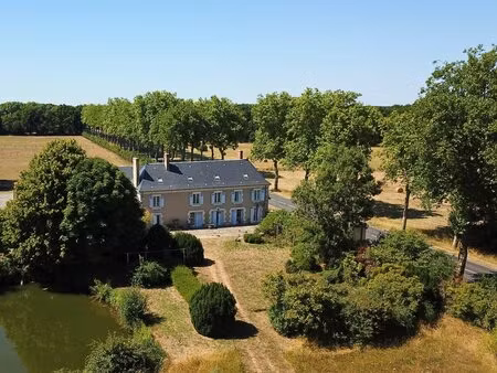 grande propriété rénovée avec gîtes et 5 hectares de terrain aux portes de tours