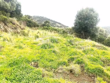 terrain à vendre