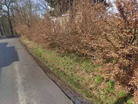 belle maison avec jardin à rénover + terrain à bâtir