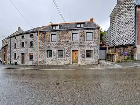 authentique maison - garage - terrasse - jardin