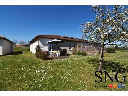 sng extensia