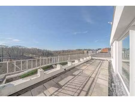 chien vert - duplex/penthouse - vue unique !