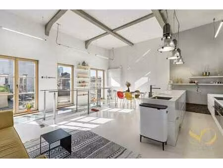 superbe loft 2 chambres + grande terrasse