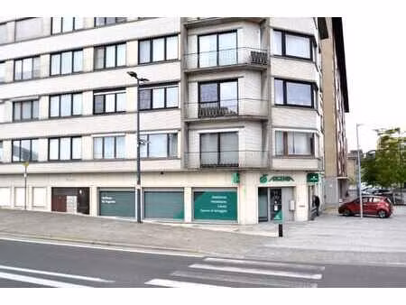 lichtrijk 3-slaapkamer appartement (120m²) met uniek zich...