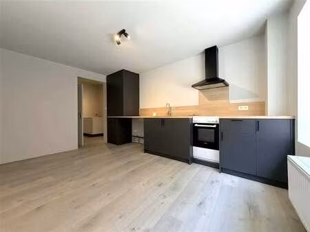 appartement rénové avec 1 chambre et une grande cour