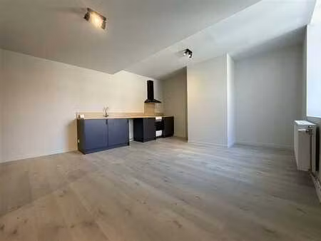 appartement rénové avec 2 chambres