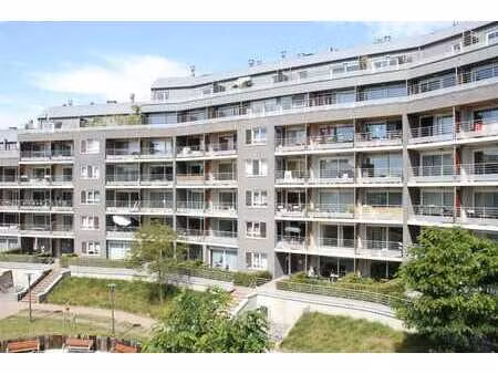 appartement 1ch  terrasse so  cadre extra et facilités