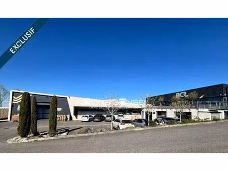 novilis conseil