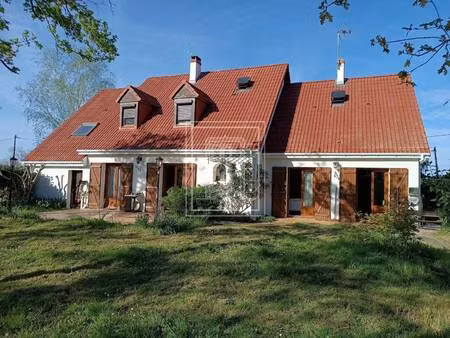 nemrod immobilier