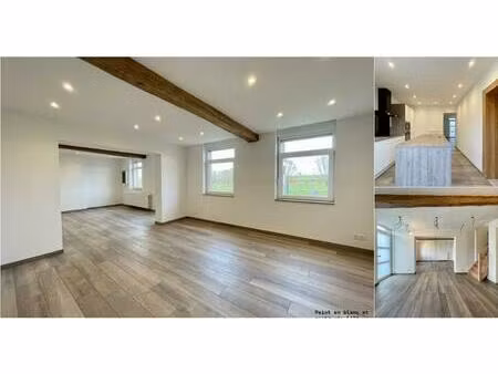 maison à vendre avec garage et terrasse   ellezelles (vbe20804)
