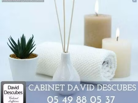 david-descubes