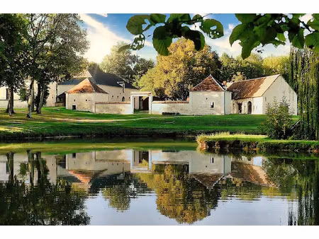 vente propriété 10 pièces 506 m² à valençay (36600)  935 000 €