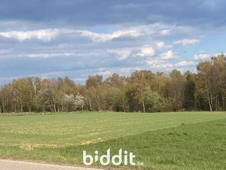 terrain à vendre à ortho € 70.000 (lo3gl) - paul & picard | zimmo