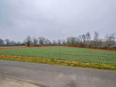 terrain à vendre à geel € 67.800 (lo49e) - benijts & colson | zimmo