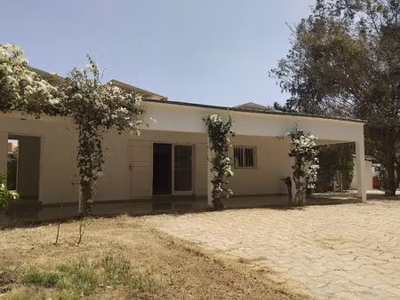 en exclusivite chez selection senegal villa contemporaine situee sur un terrain arbore de 