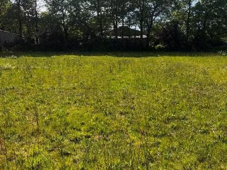 terrain constructible à vendre