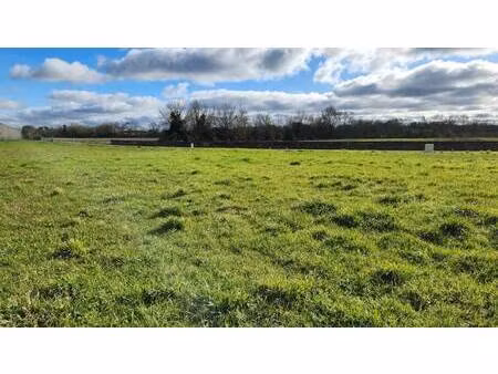 terrain constructible viabilisé à vendre