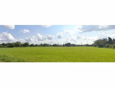 terrain constructible viabilisé à vendre