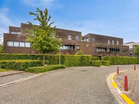 appartement à vendre à hoogstraten € 339.000 (lo433) - home-id lauwers | zimmo