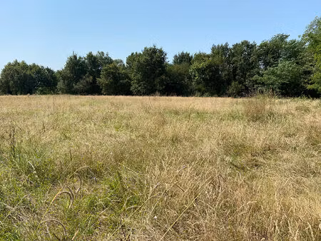 terrain proche pontonx sur l adour 8619 m2