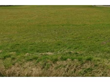 vente terrain à saffré (44390) : à vendre / saffré
