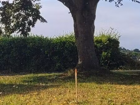 trecobois lamballe