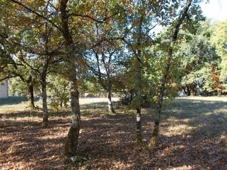 terrain constructible viabilisé à vendre