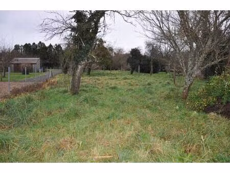 terrain à vendre