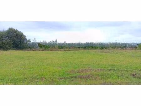 terrain constructible viabilisé à vendre
