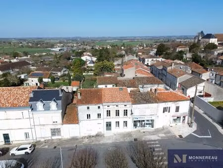 monnereau immobilier