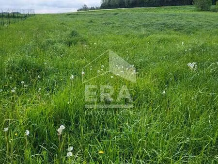 terrain constructible viabilisé à vendre