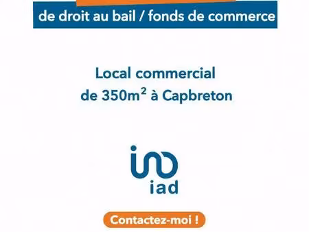 iad france léa meste