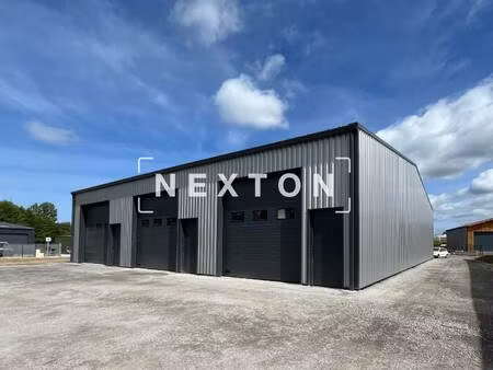 nexton immobilier