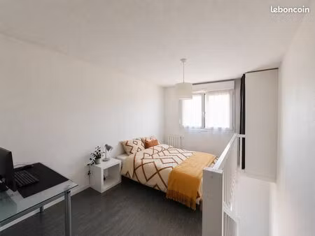 t1bis duplex bergonié