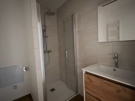 t3 centre ville sarrebourg neuf