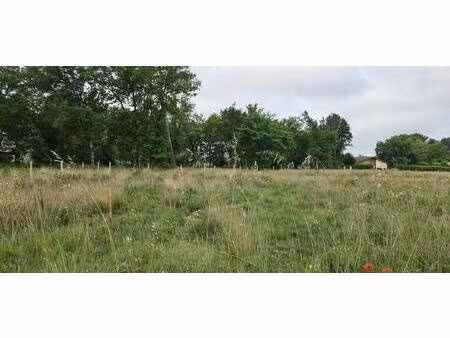 terrain constructible viabilisé à vendre