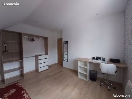 studio 20 m2